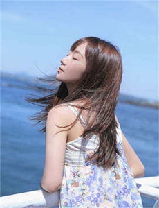 2022金鹰奖免费完整版